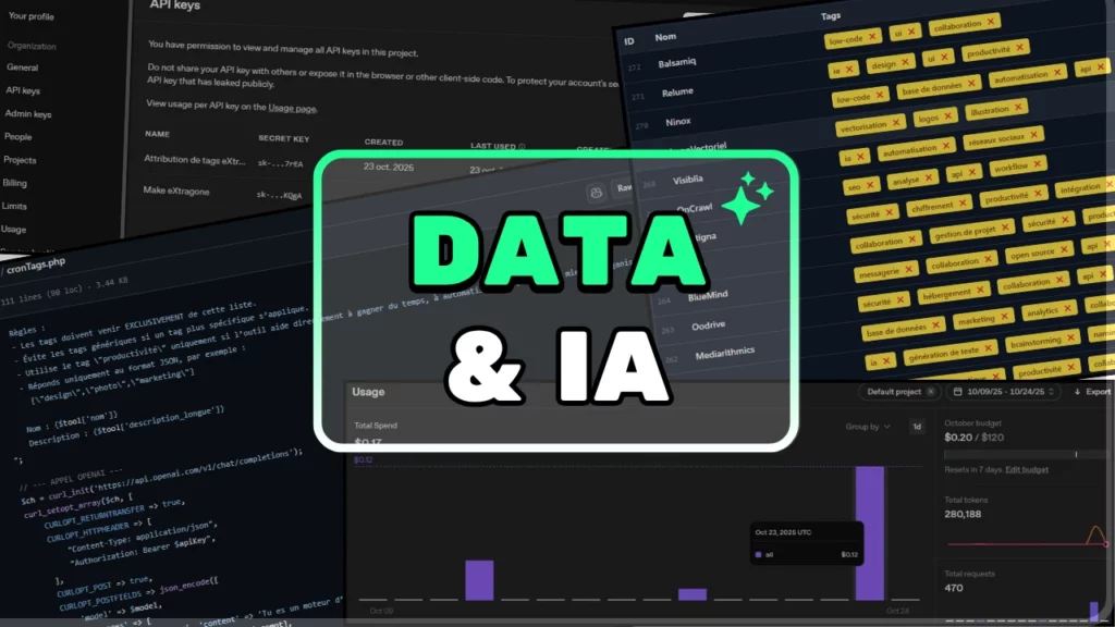 Data & IA : Traiter des données en masse avec l'IA